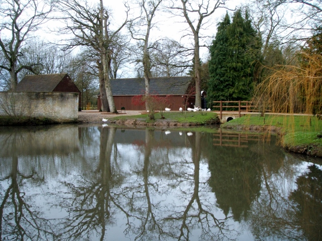 Pond at Priory Court